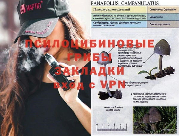спиды Белокуриха