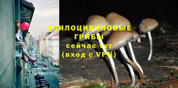 MESCALINE Беломорск