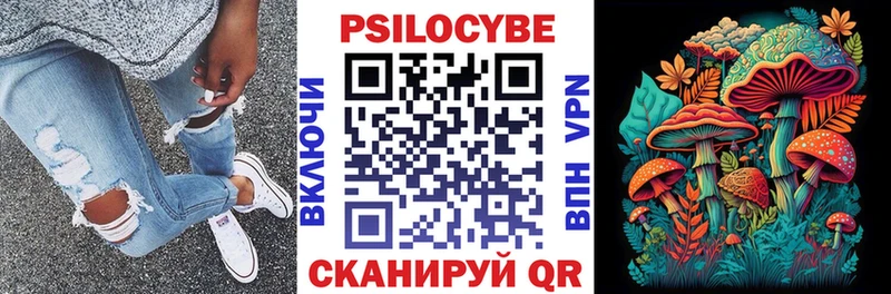 omg рабочий сайт Чёрмоз Псилоцибиновые грибы Psilocybine cubensis